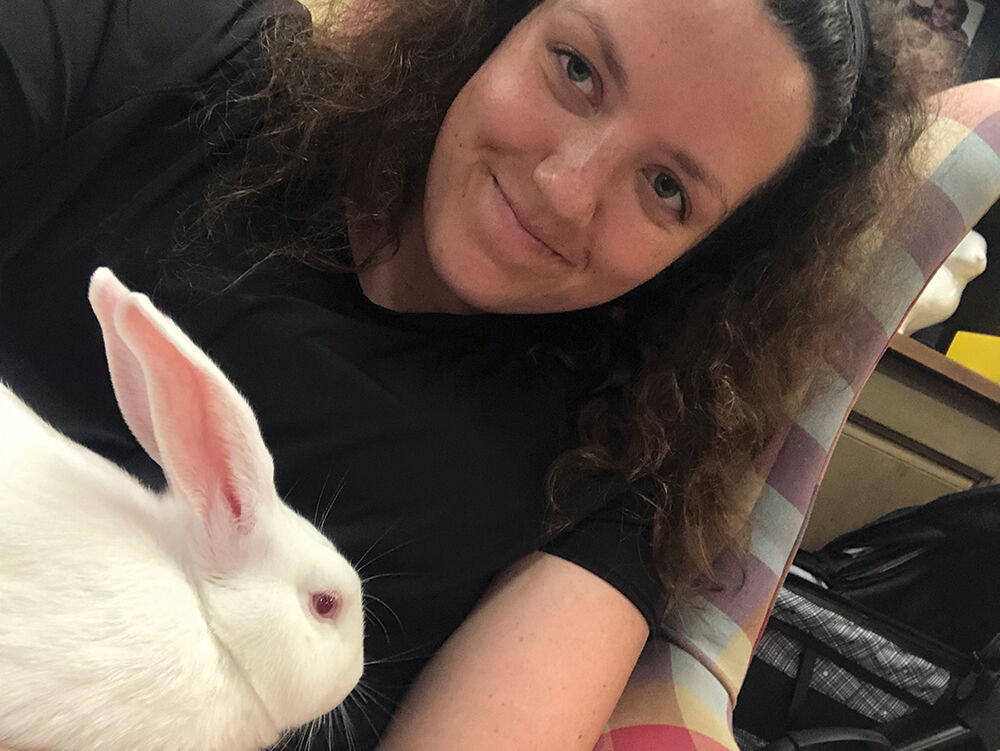 bunnies2.jpg